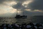 Ein Fischerboot, von einer Vielzahl von Mwen begleitet, erreicht an einem sehr kalten Winternachmittag im Februar 2013, nach lngerem Auffenthalt auf der Ostsee, in wenigen Augenblicken den Hafen von