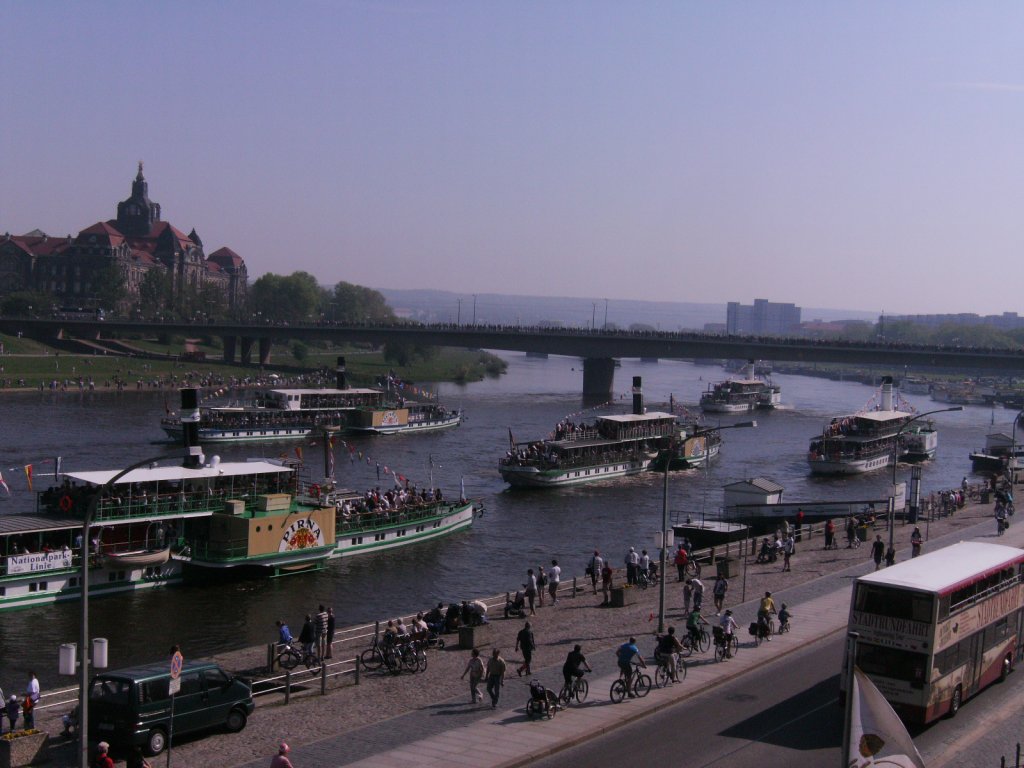 alle Personenschiffe sind fertig fr die Parade am 01.05.2012 in Dresden.