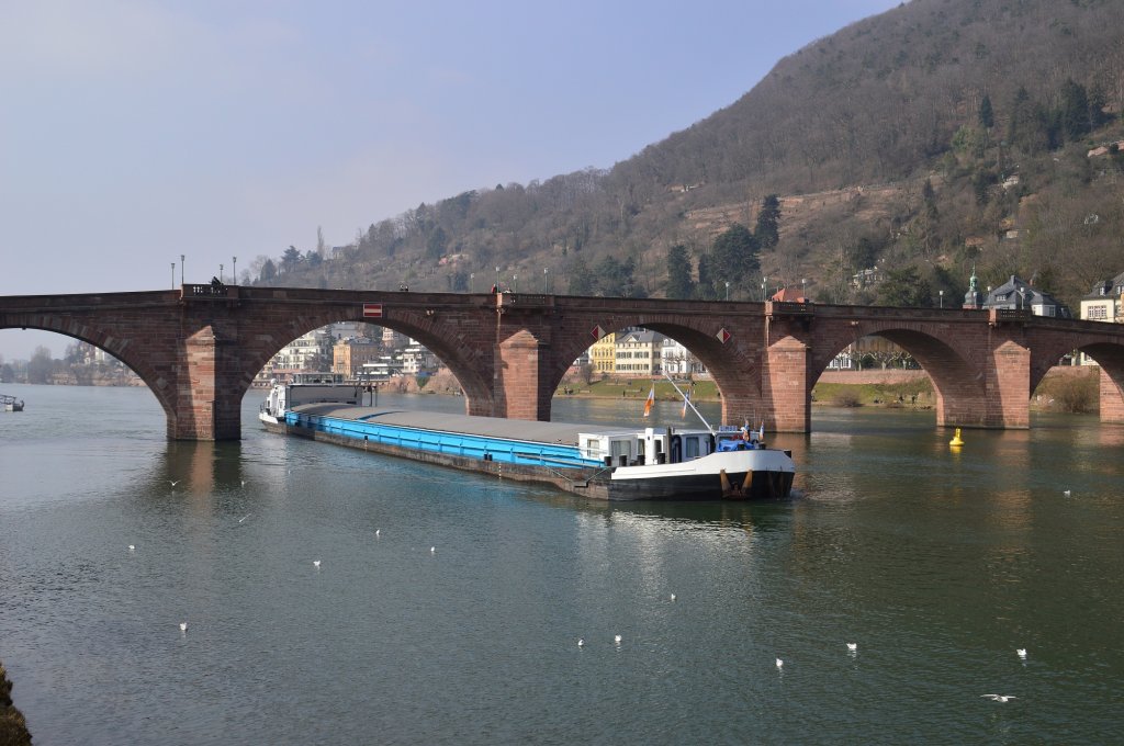 Am Sonntag den 3.3.2013 fhrt der niederlndische Frachter Limbo den Neckar bergwrts unter der alten Neckarbrcke in Heidelberg durch. In wenigen Minuten hat er die Schleuse an der Altstadt erreicht.