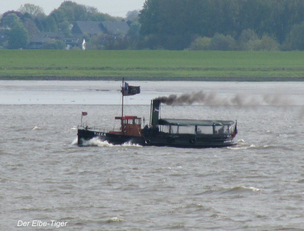 Der  TIGER  aus Hamburg am 15.05.2010 im Bereich Lhe auf Elbe-Talfahrt. Tolle Schiff mit einem noch  guten altem Dampf-Signal-Horn. 