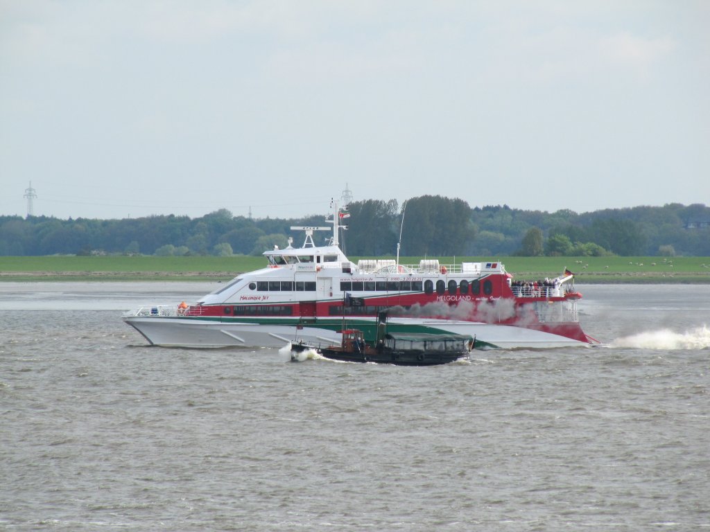 Der Tiger wird am 15.05.2010 auf der Elbe-Talfahrt vom Halunder-Jet bei Lhe  geschluckt . 