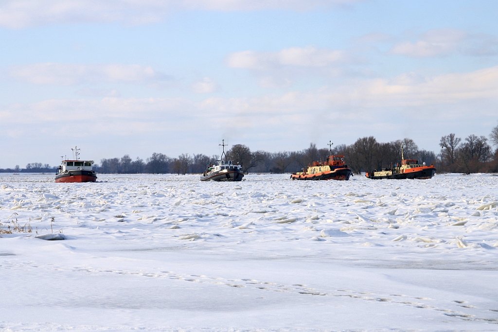 Deutsche & Polnische Eisbrecher im Einsatz: Frankfurt, Hohensaaten, Dzik & Wilk beim Eisaufbruch auf der Oder bei Gstebieser Loose am 21.02.2010