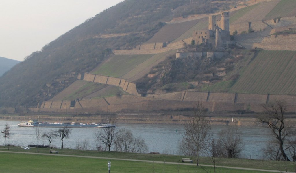 Die  Margaux  auf dem Rhein unterhalb der Burg Ehrenfels; 23.03.2010
