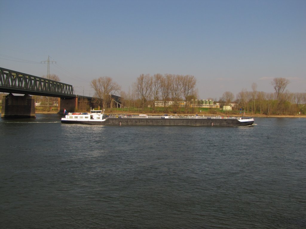 Die  Mirevito  auf dem Rhein in Mainz; 28.03.2011