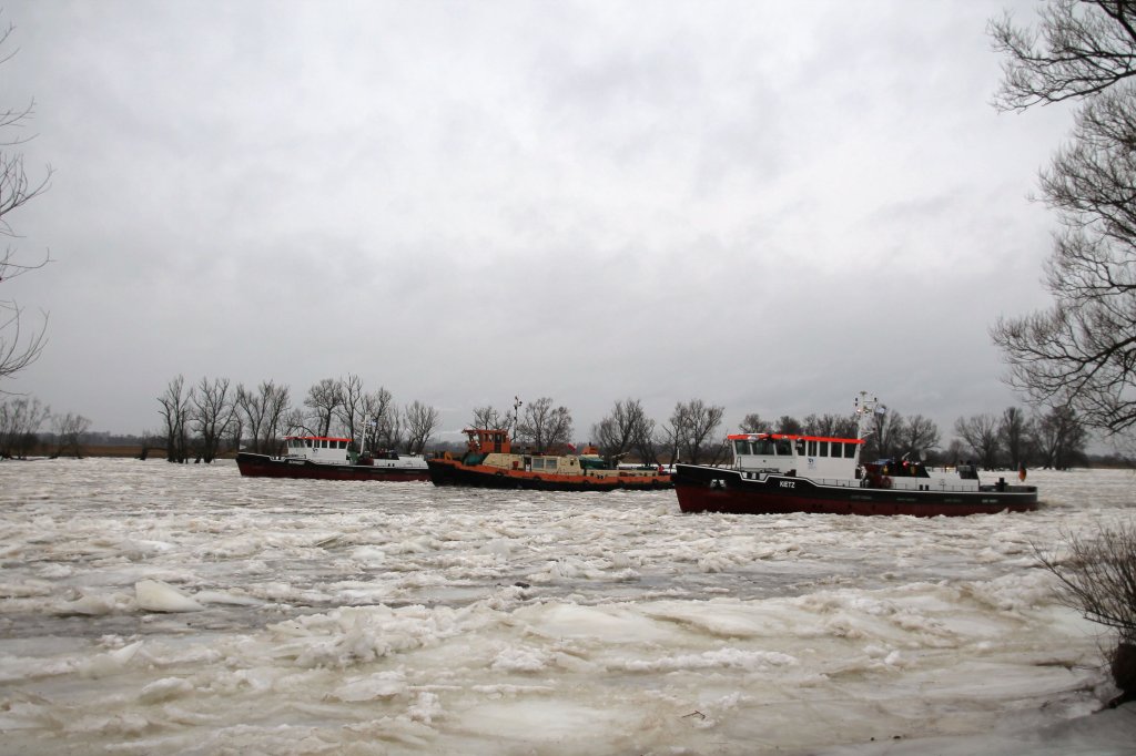 Eisbrecher auf der Oder in der Nhe von Ognica fahren sie zu Berg. Im Jan.2013 sind die Schiffe KIETZ,DZIK u.SCHWEDT als Kopfeisbrecher im Einsatz.