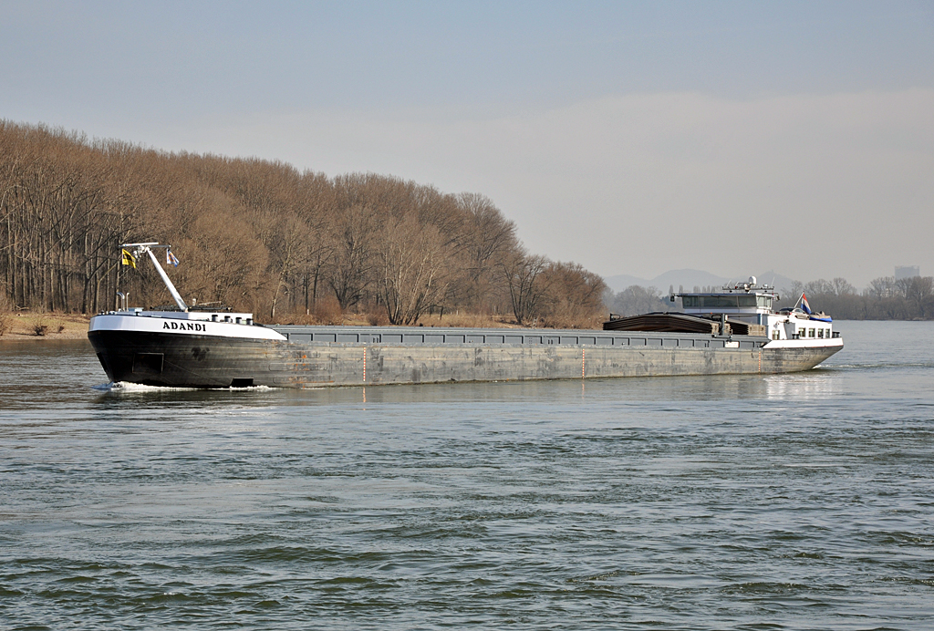 Frachter  ADANDI  auf dem Rhein bei Hersel - 06.03.2013