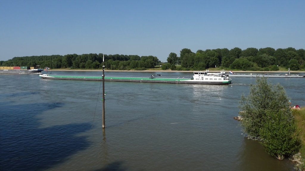 Frachter  Arese  Rhein-abwärts unterwegs am Himmelgeister Rheinbogen, 26.6.2010
