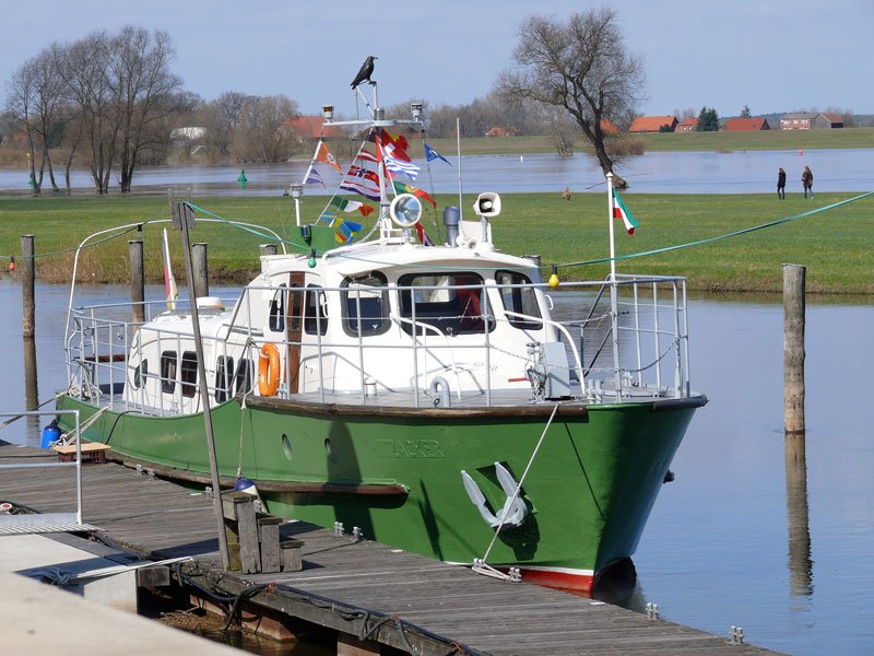  HITZACKER , ex  LIPPE , Baujahr 1956, Werft Schless in Wesel am Rhein, war bis 1989 als Zollboot auf der Elbe im Dienst und steht jetzt ber einen Frderverein fr Rundfahrten zur Verfgung; Hitzacker, 22.03.2010
