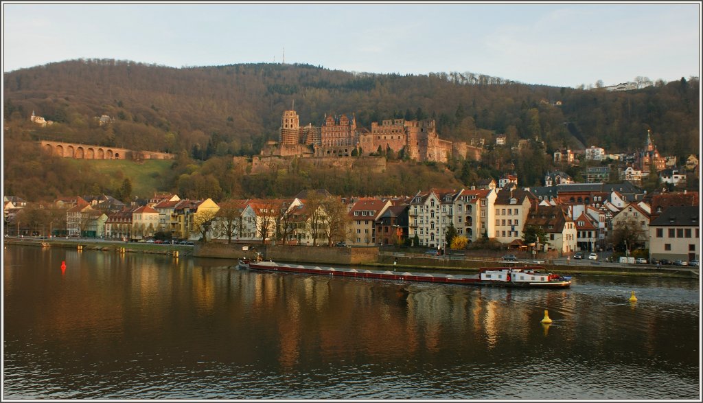 Im Abendlicht fhrt dieses Transportschiff am Heidelberger Schloss vorbei.
(27.03.2012)