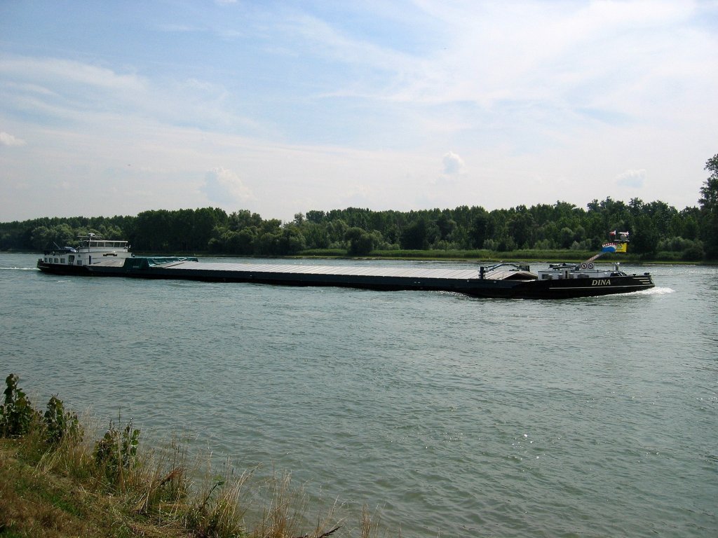 MS Dina , 02325325 , 110 x 11,45 , am 26.07.2008 bei Neuburg am Rhein auf Bergfahrt.