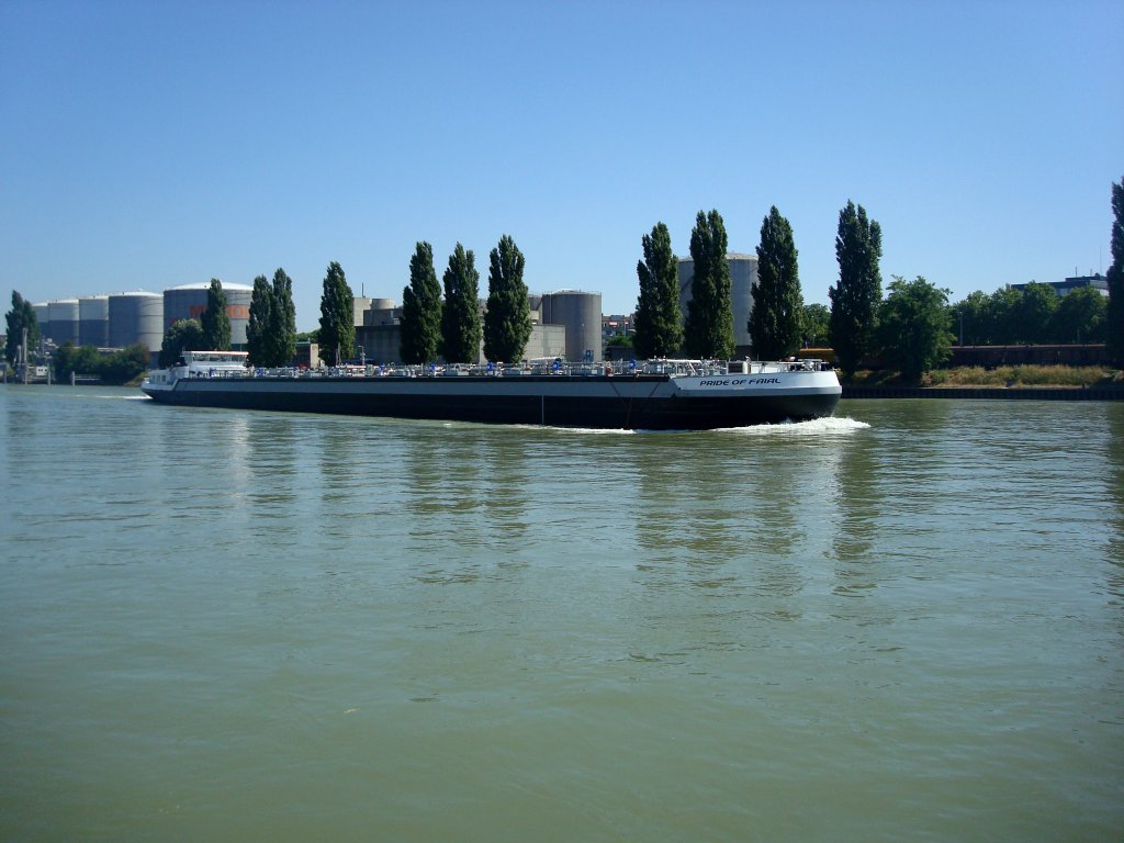 MS  Pride of Faial  rheinaufwrts im Baseler Hafen,
Juli 2010