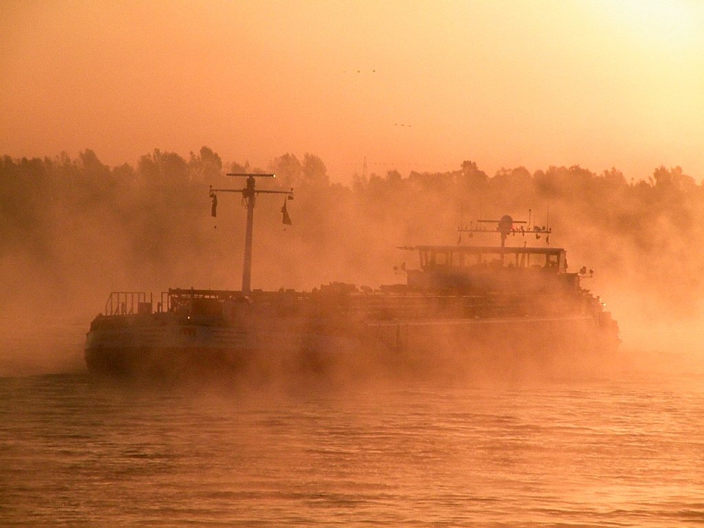 Nebelfahrt  morgens  auf  dem  Rhein.
Gleichzeitig  geht  die  Sonne  auf,  einfach  toll  anzusehen  !!
