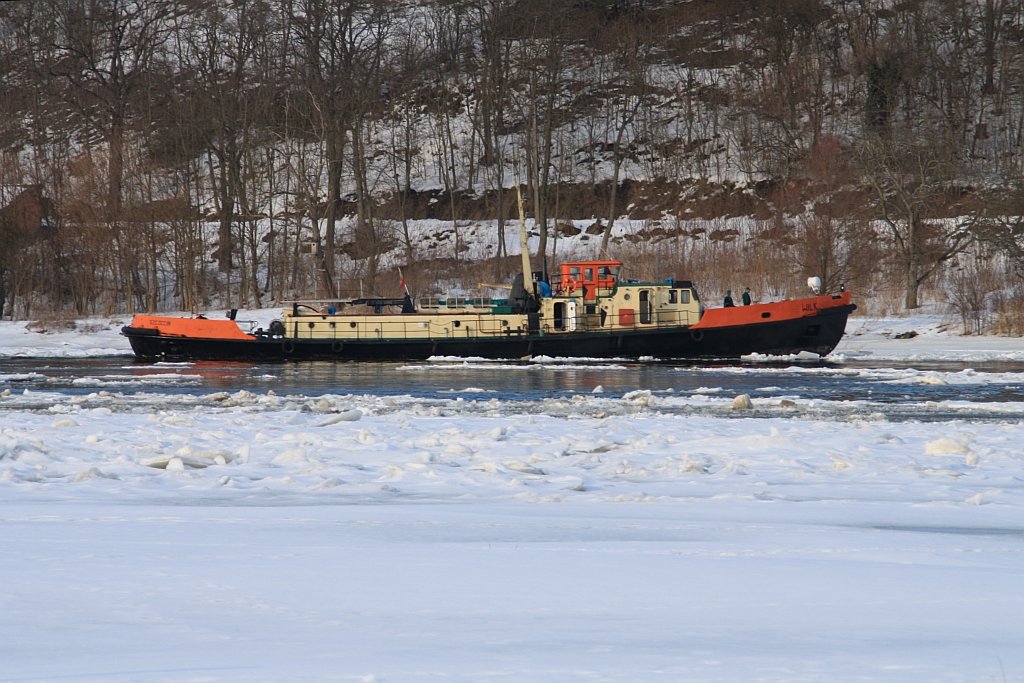 Polnischer Eisbrecher Wilk beim Eisaufbruch auf der Oder bei Gstebieser Loose am 21.02.2010