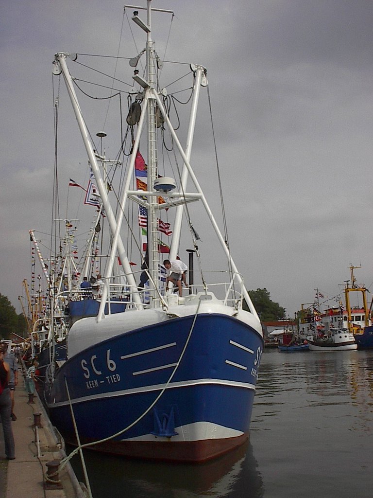 SC 6 Hafen Bsum 2003 zur Kutterregatta