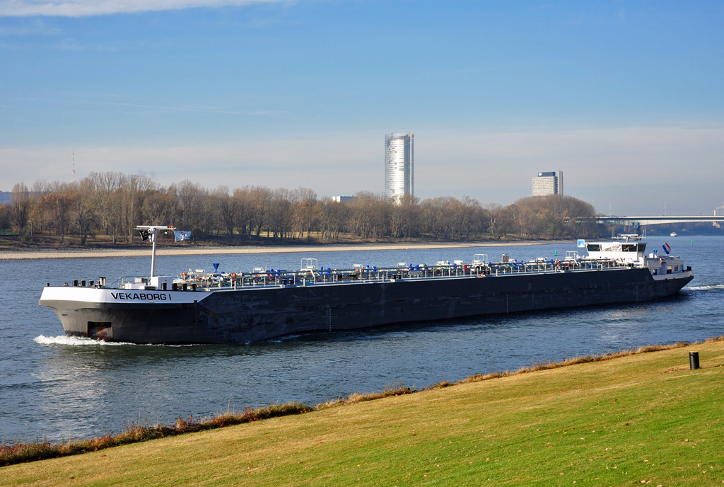 Tanker  VEKABORG I  auf dem Rhein bei Bonn-Oberkassel (im Hintergrund der Telekom-Tower und der  Lange Eugen , ehemaliges Abgeordneten Haus) - 25.11.2011