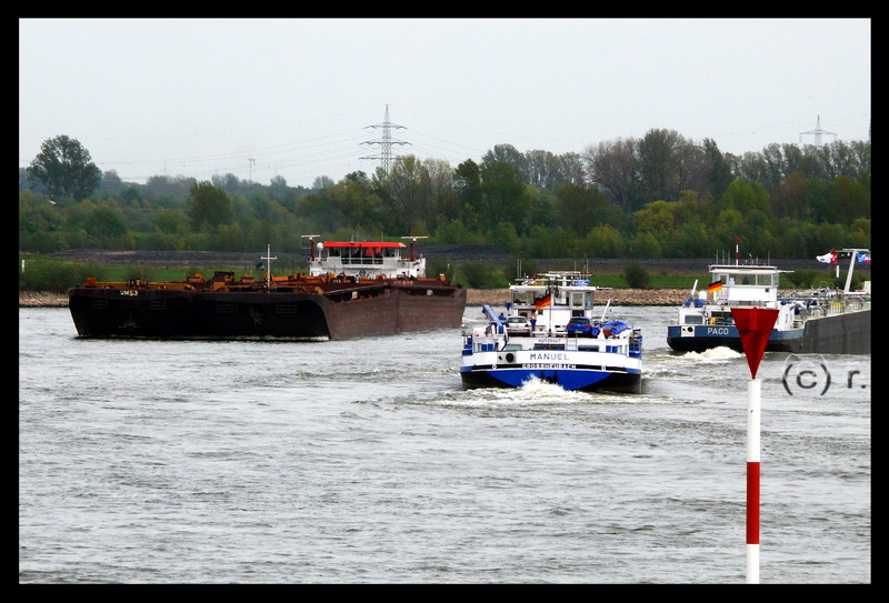 Verkehrsablufe auf dem Rhein: SV  Veerhaven II/Narwal  , TMS  Paco  u. TMS  Manuel 