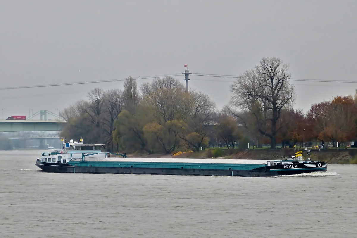 . GMS  NIALA   Euronr. 02329698;  L 110 m;  B 11,45 m;  Tiefg. 3,60 m;  T 3212; Bj 2008; aufgenommen auf dem Rhein in Köln am 20.11.2014,  Flagge  NL 