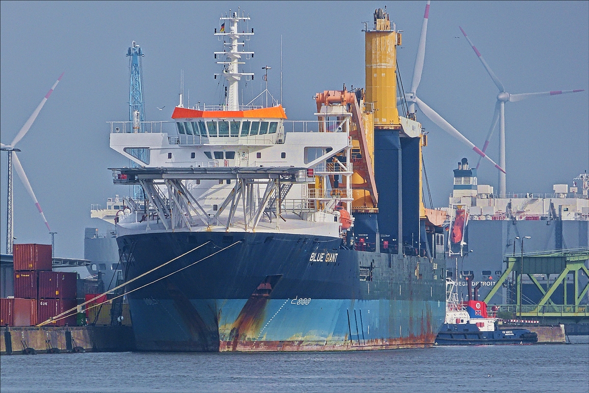 . Spezialschiff „Blue Giant“, liegt im Innenhafen von Bremerhaven am Kai. Schiffsdaten: Bj 2008; IMO 9400485; L 179 m B 25 m; aufgenommen am 09.04.2018 während einer Hafenrundfahrt.  (Hans)