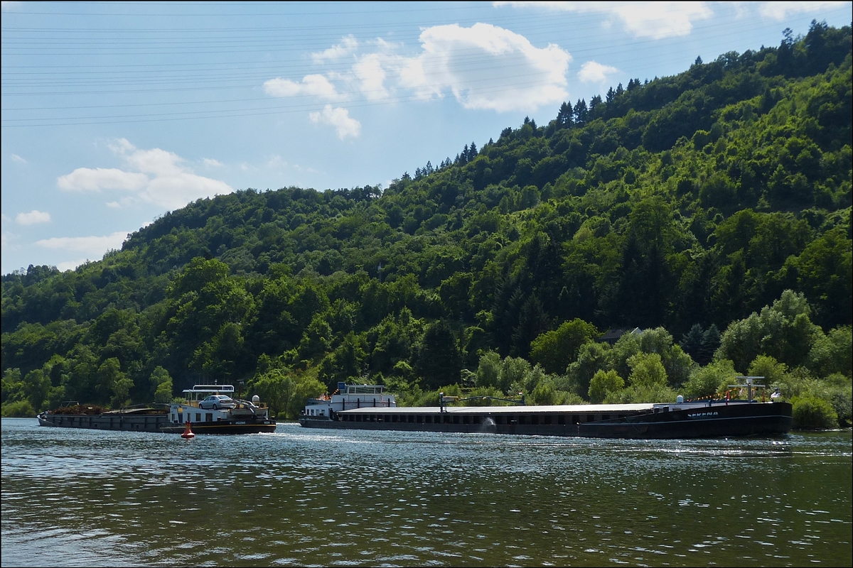 . Zwei Frachtschiffe fahren auf der Mosel nahe Pünderich aneinander vorbei, Frachter Serena  Flußabwärts fahrend und Frachter Ingona Flußaufwärts.  21.07.2014
