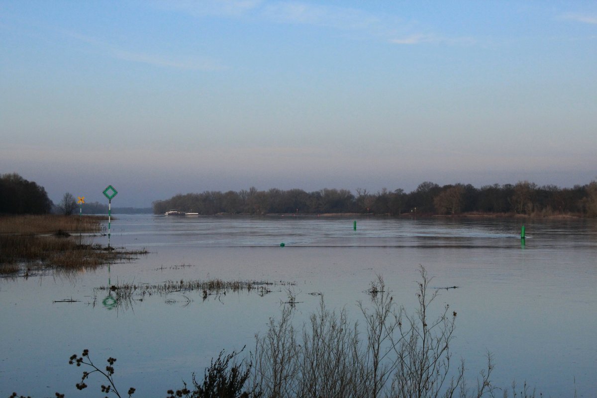 Blick auf die Elbe zu Tal bei Storkau (km 396) am 19.01.2019. Die Elbe führt Hochwasser.