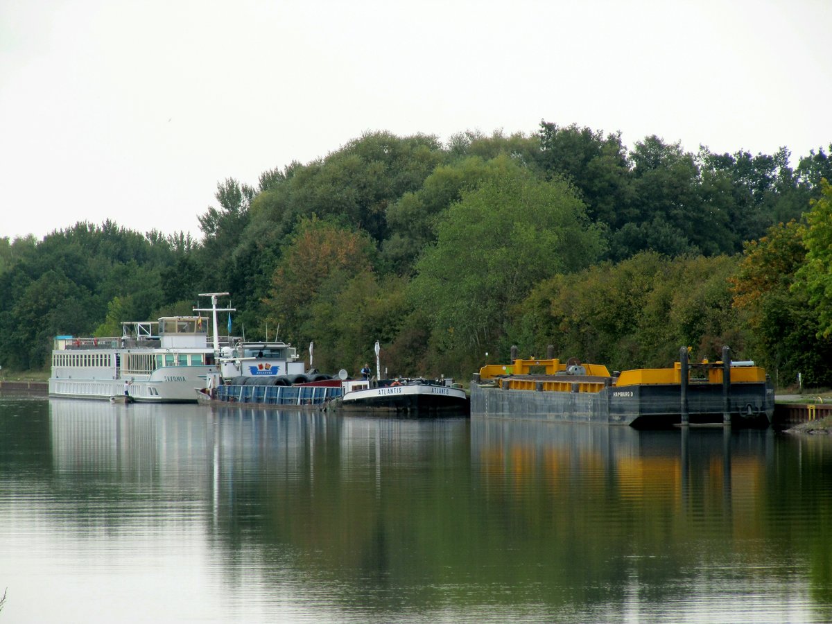 Blick auf die Liegestelle Bad Bodenteich im Elbe-Seitenkanal am 23.09.2019. Das KFGS Saxonia (07001736 , 82 x 9,50m) und das GMS Atlantis (04002240 , 80 x 8,22m) haben Feierabend gemacht. 