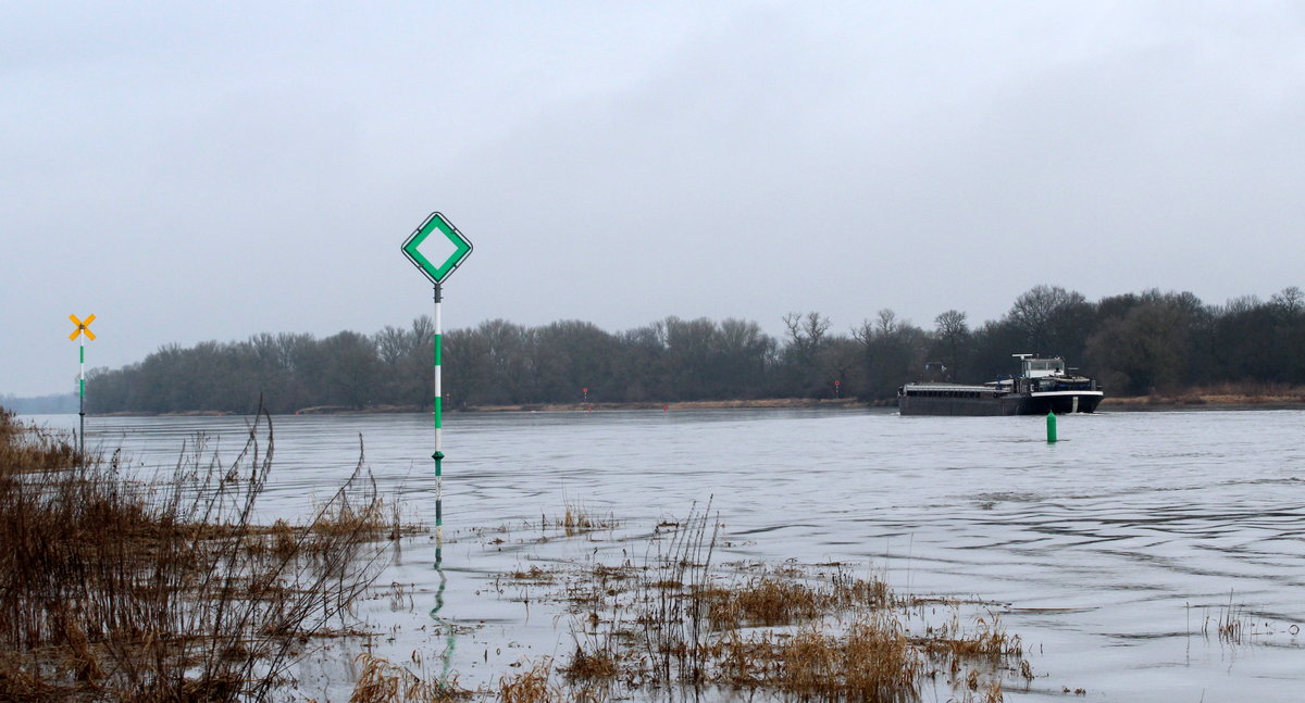 Blick bei Storkau auf die am 26.01.2018 Hochwasser führende Elbe zu Tal. GMS Altmark (04031260) fuhr zu Tal. 