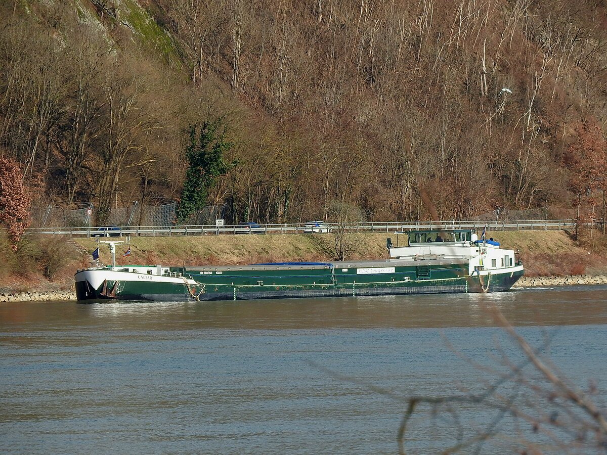 CAESAR(02316385; L=100m; B=11,4m; 2651To; 885kW; Bj.1982)wartet vor der 3Flüssemündung in Passau auf der Donau Stromaufwärts auf die Weiterfahrt; 220209