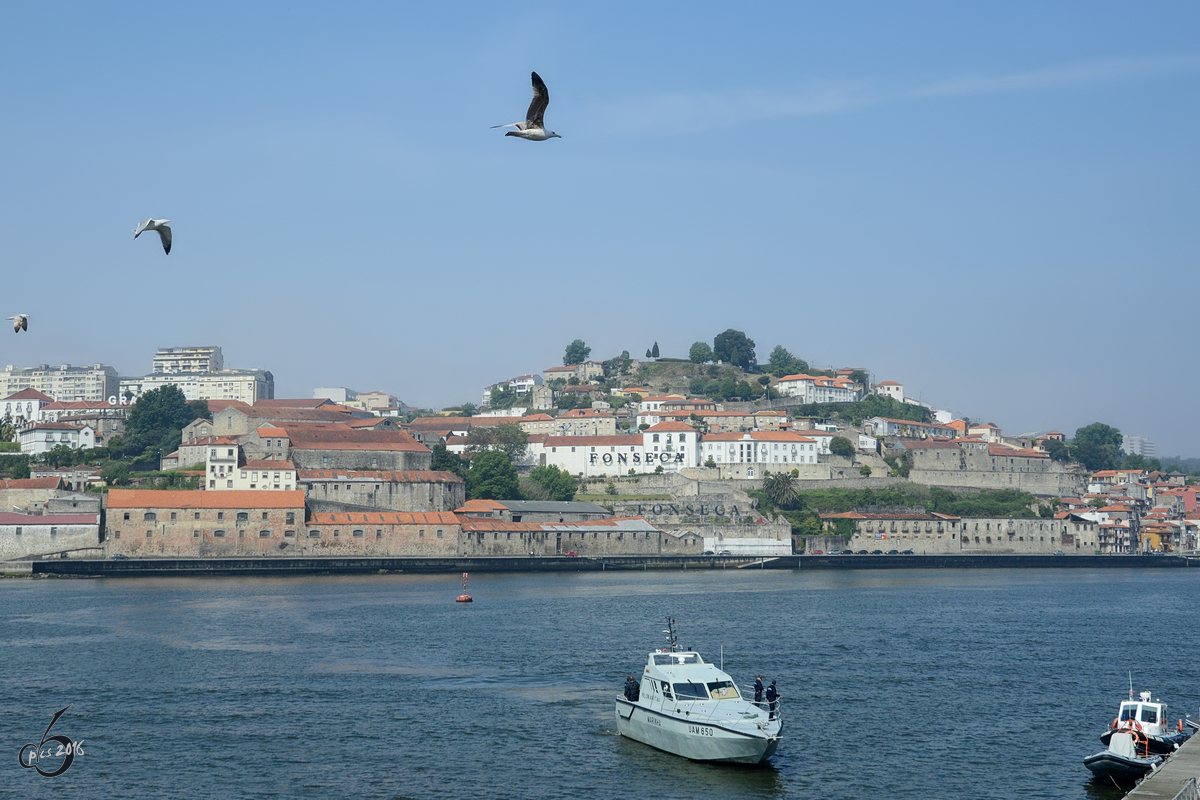 Das Boot UAM 650 der Policia Maritima / Marinha auf dem Douro in Porto (September 2013)