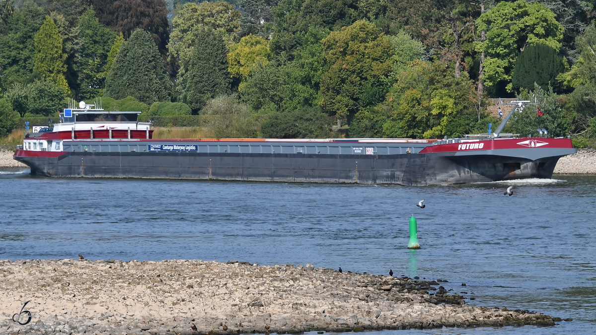 Das Containerschiff  Futuro  (02329683) Mitte August 2018 auf dem Rhein bei Unkel.
