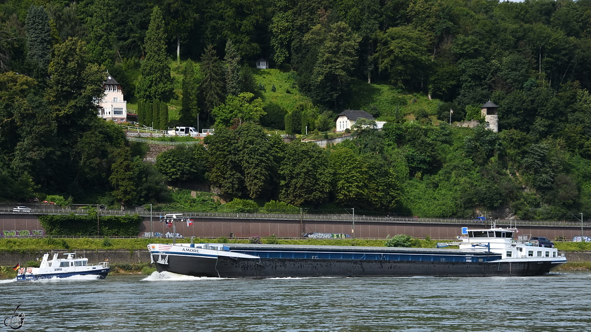 Das Gütermotorschiff AMORE (ENI: 02323817) begegnet WSP14 MAINZ D. (Remagen, August 2021)