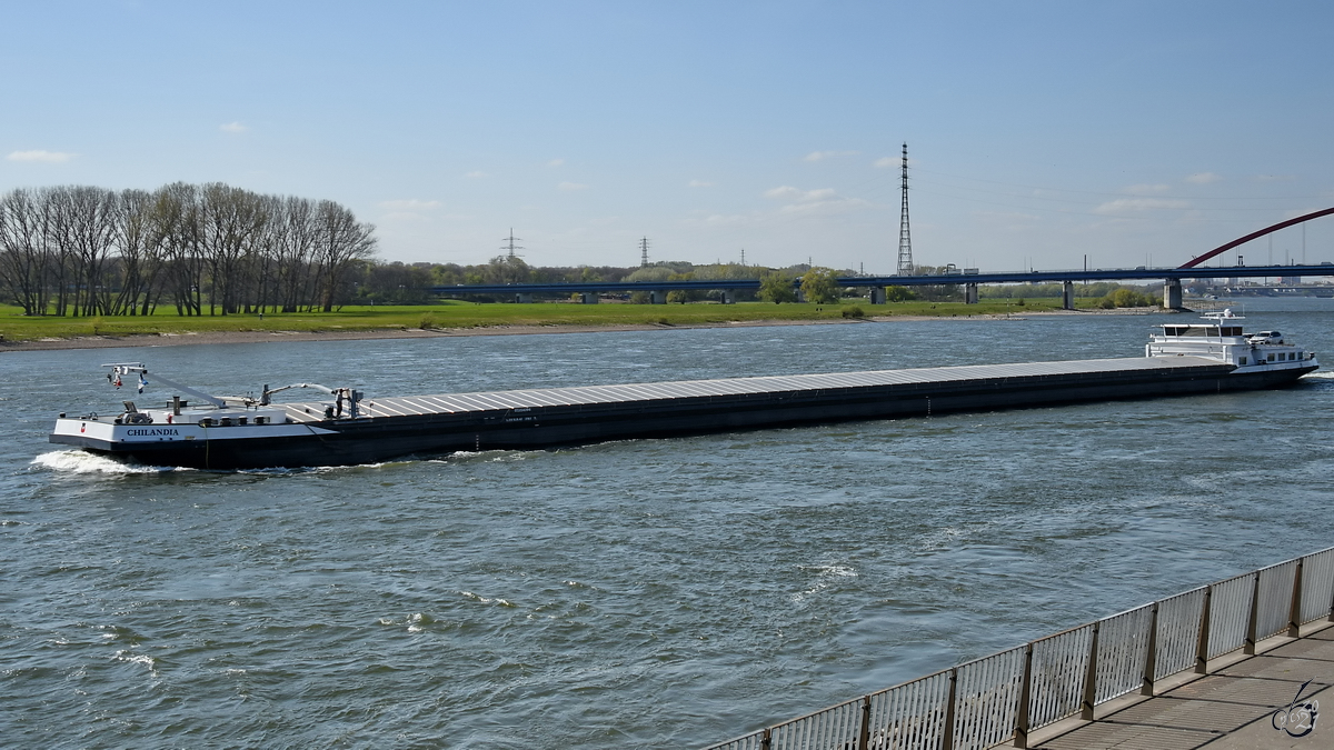 Das Gütermotorschiff CHILANDIA (ENI: 02324394) auf dem Rhein unterwegs. (Duisburg, April 2021)