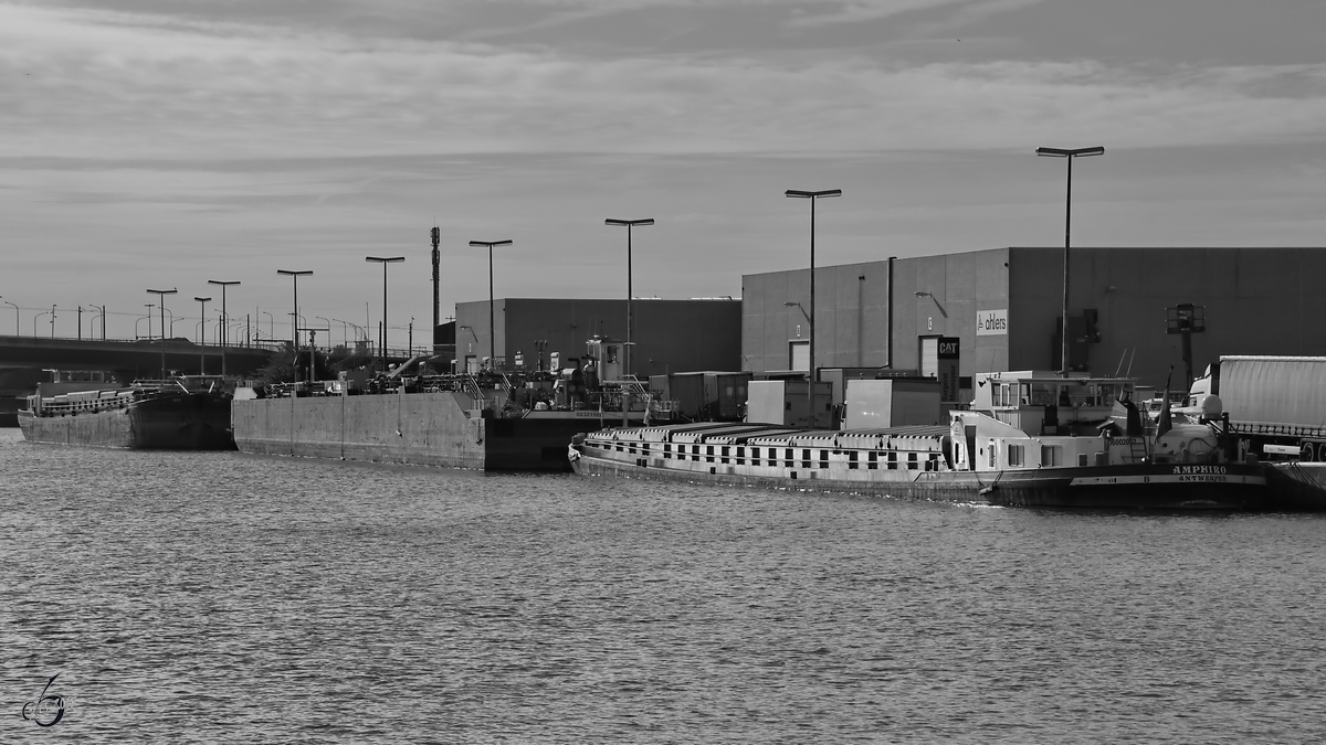 Das Güterschiff  Amphiro  (ENI: 06002002) Ende Juli 2018 im Straatsburgdok Antwerpen.