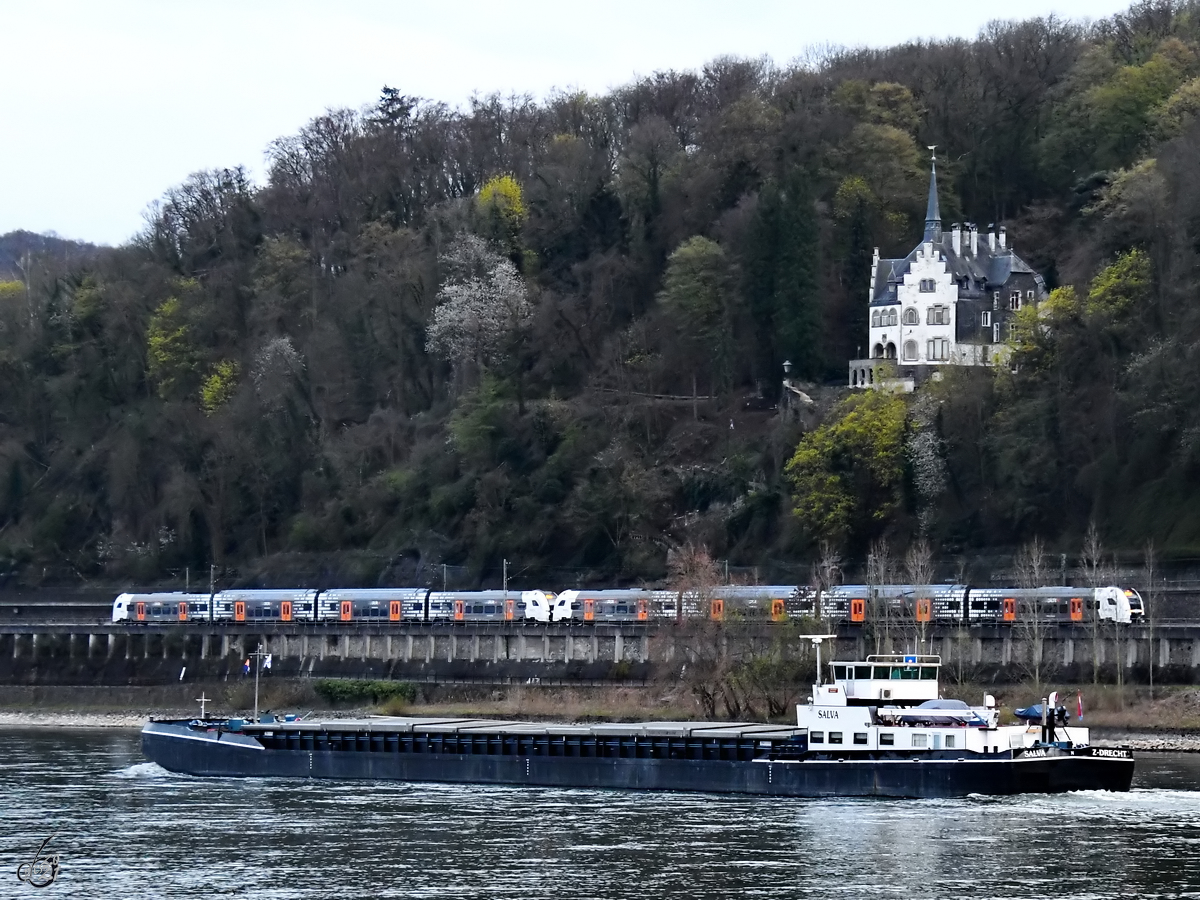 Das Güterschiff SALVA (ENI: 02313808) ist auf dem Rhein unterwegs. (Unkel, April 2021)