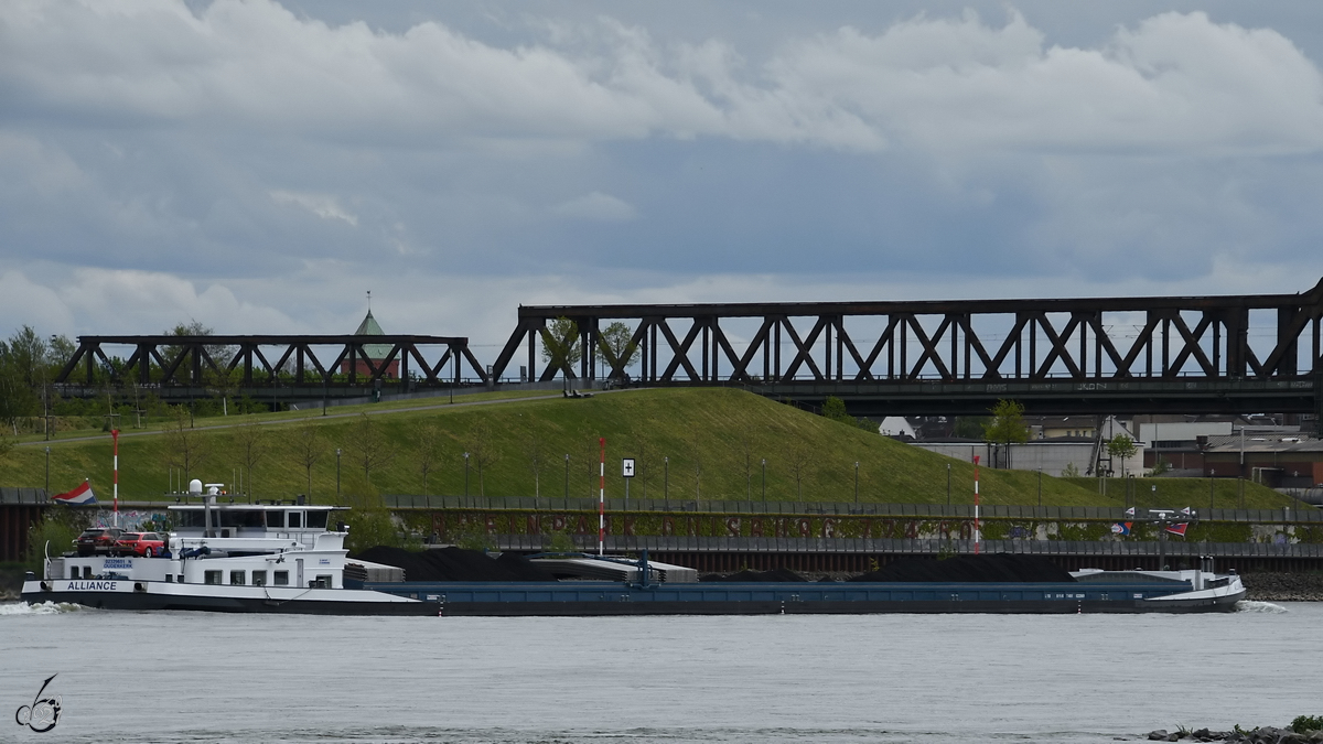 Das mit Kohle beladene Gütermotorschiff ALLIANCE (ENI: 02329651) ist hier Anfang Mai 2021 in Duisburg unterwegs.