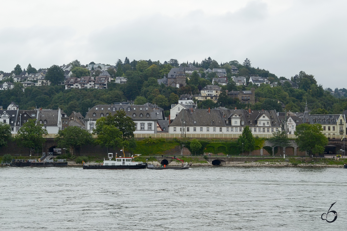 Das Schiff  Bingen  auf dem Rhein in Koblenz (September 2013)