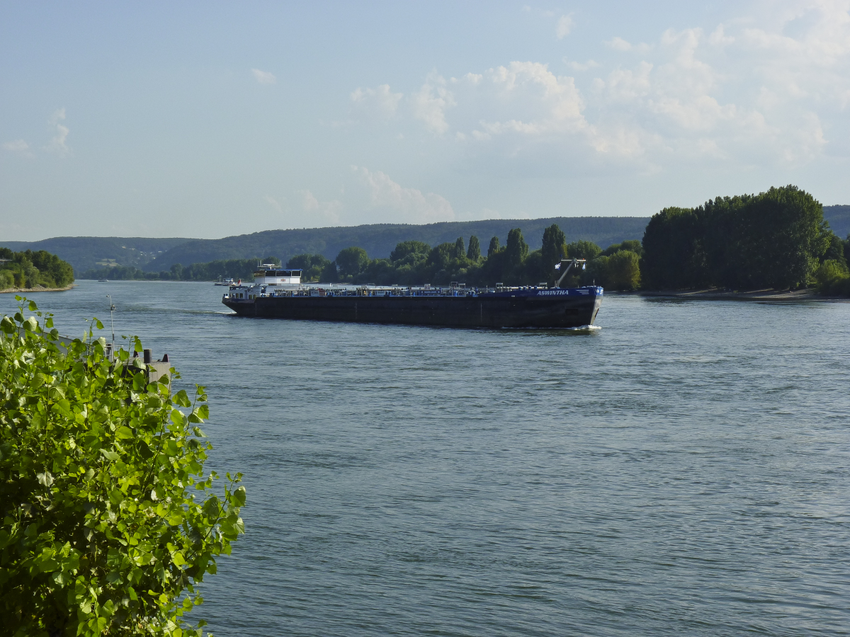 Das Tankmotorschiff ASWINTHA ist auf dem Rhein bei Linz flußabwärts unterwegs. Länge: 110,00 m - Breite: 11,40 m - Tiefgang: 3,13 m - Tonnage: 2520 t / 26.08.2016
