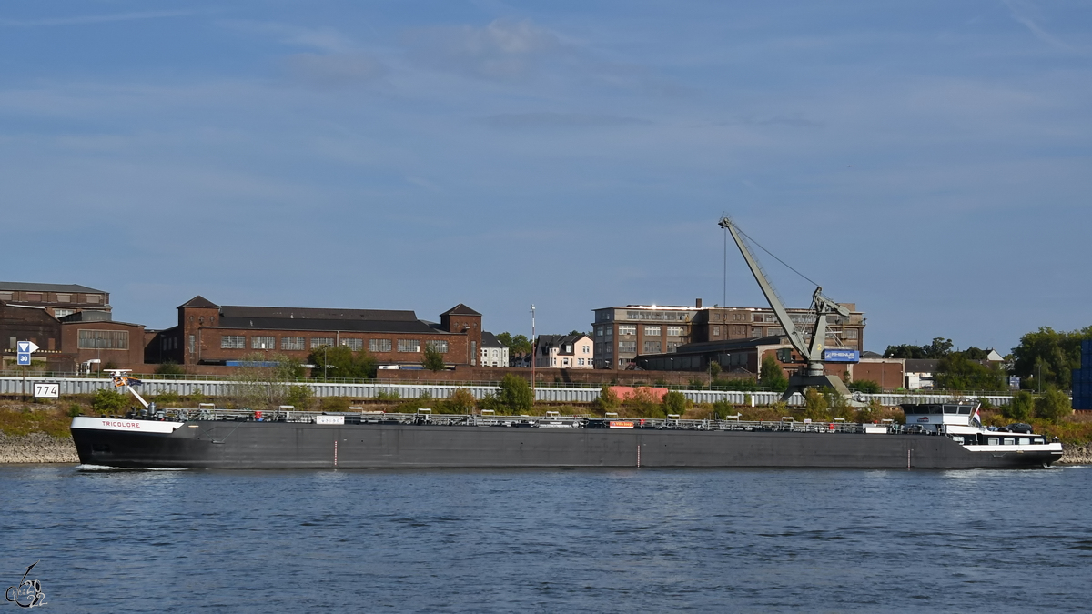 Das Tankmotorschiff TRICOLORE (ENI: 02326973) fährt bei Duisburg rheinabwärts. (August 2022)