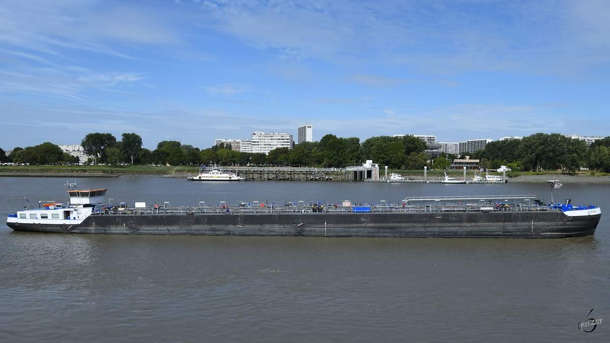 Das Tankschiff Alpha (ENI 02328422) Ende Juli 2018 auf der Schelde in Antwerpen.