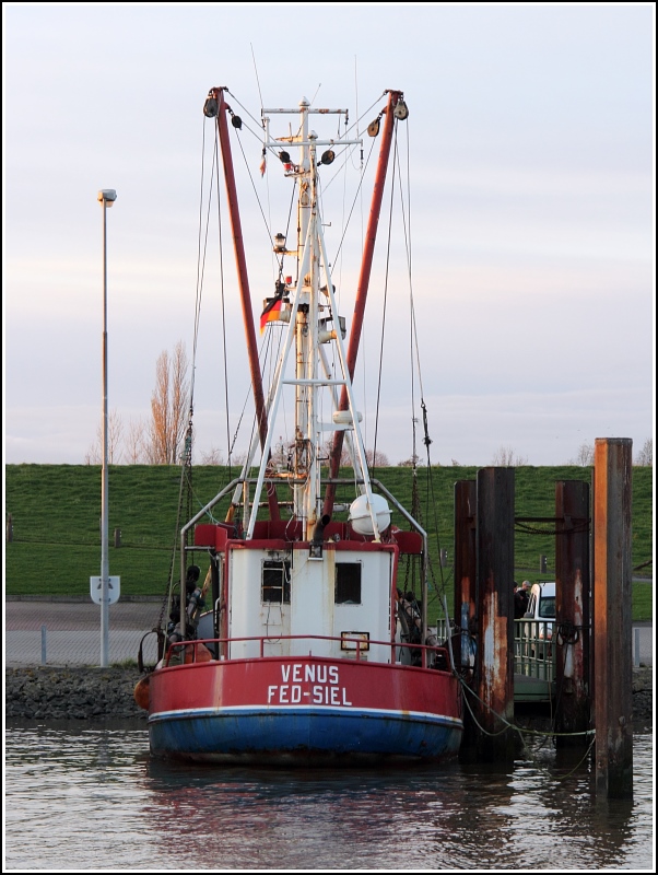 Der Kutter FED 3 VENUS wurde 1976 gebaut und ist 16,20 m lang
