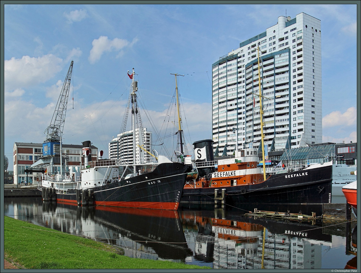 Der Walfangdampfer  Rau IX  (Baujahr 1939) und der 1924 gebaute Bergungsschlepper  Seefalke  liegen im Bremerhavener Museumshafen vor Anker. Sie sind Ausstellungsstücke des Deutschen Schiffahrtsmuseums. (29.08.2015)