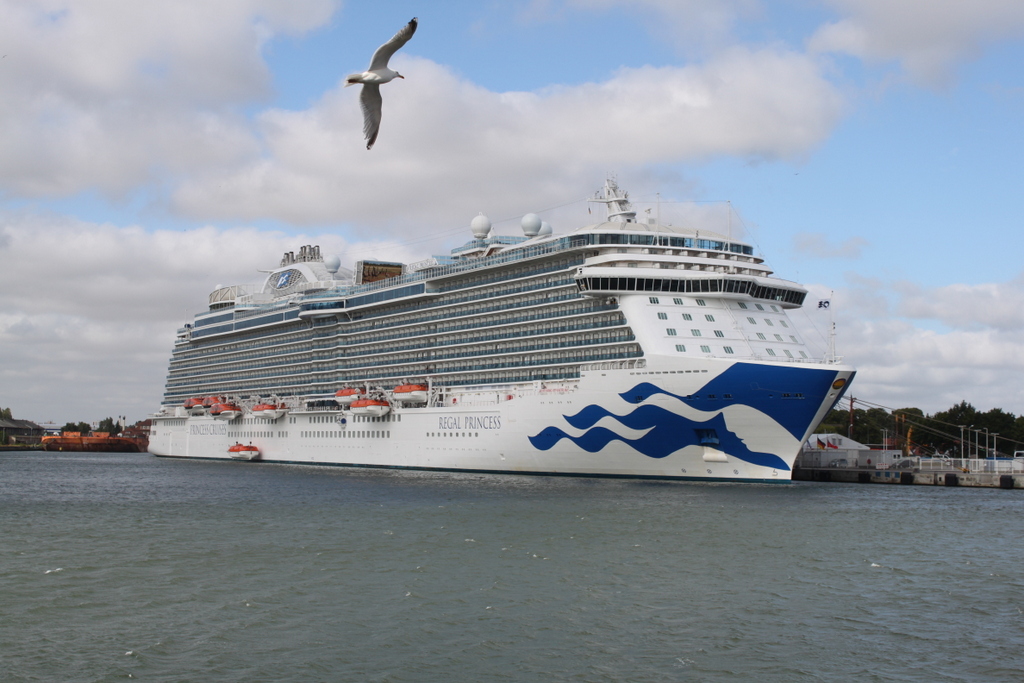 Die 330 m lange Regal Princess der Reederei Princess Cruises lag am Vormittag des 07.07.2018 auf ihrem Seeweg von Oslo nach Tallinn in Warnemünde.