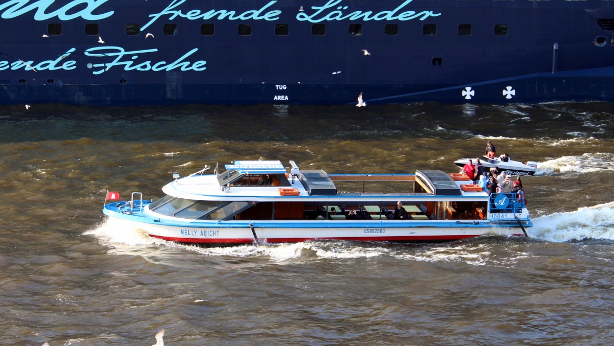 Die Nelly Abicht am 12.05.2013 auf der Elbe vor dem Kreuzfahrtschiff Mein Schiff 1.
