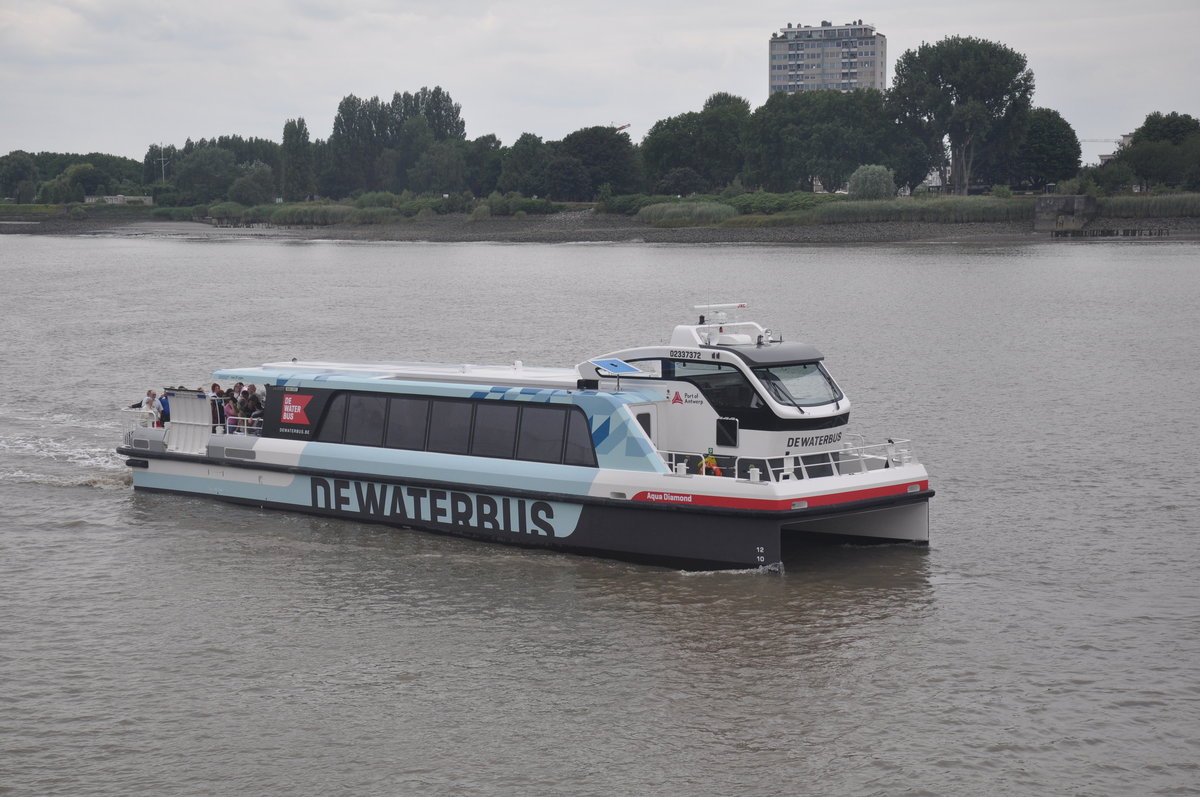 FGS Aqua Diamond  De Waterbus  aufgenommen 15.07.2017 am Schelde in Antwerpen 