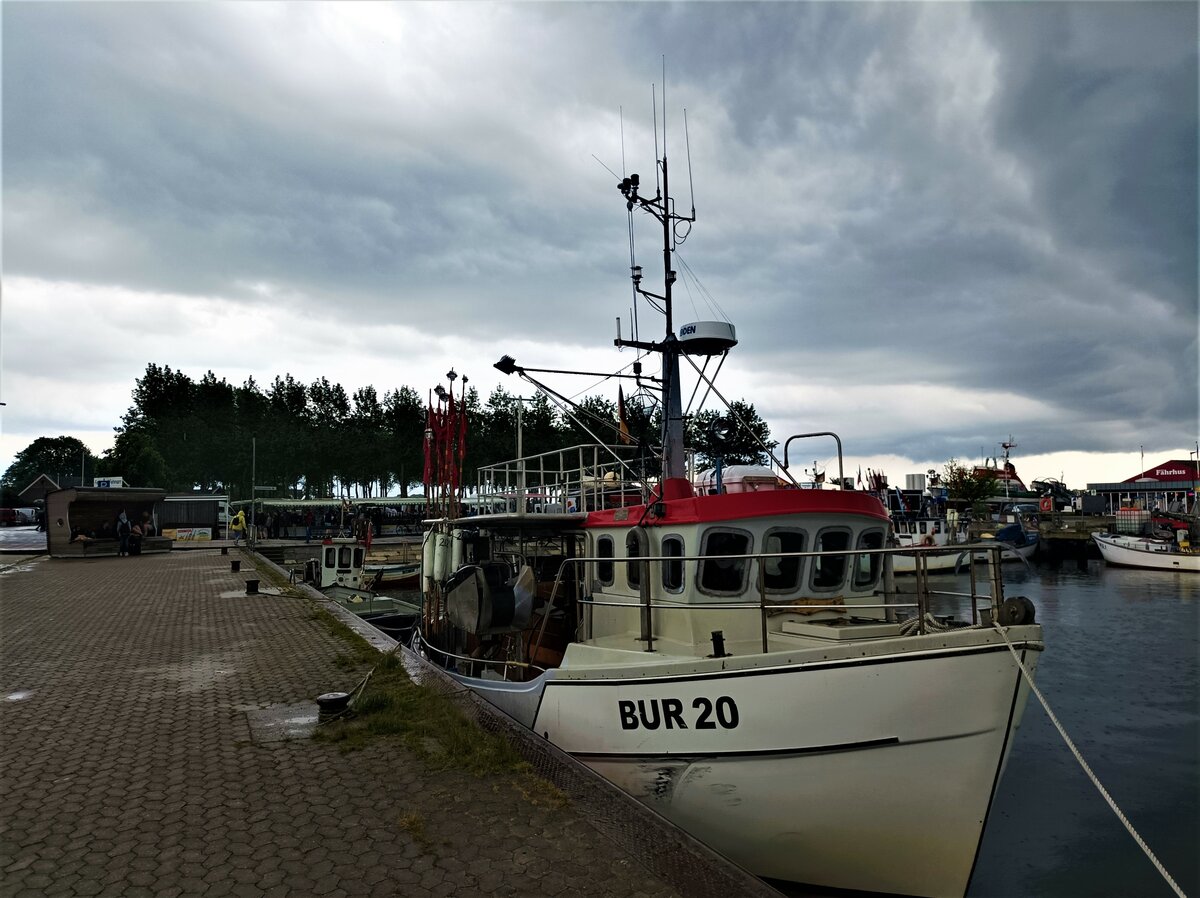 Fischerboot Andrea BUR 20 am 1.6.2022 in Burgstakken 