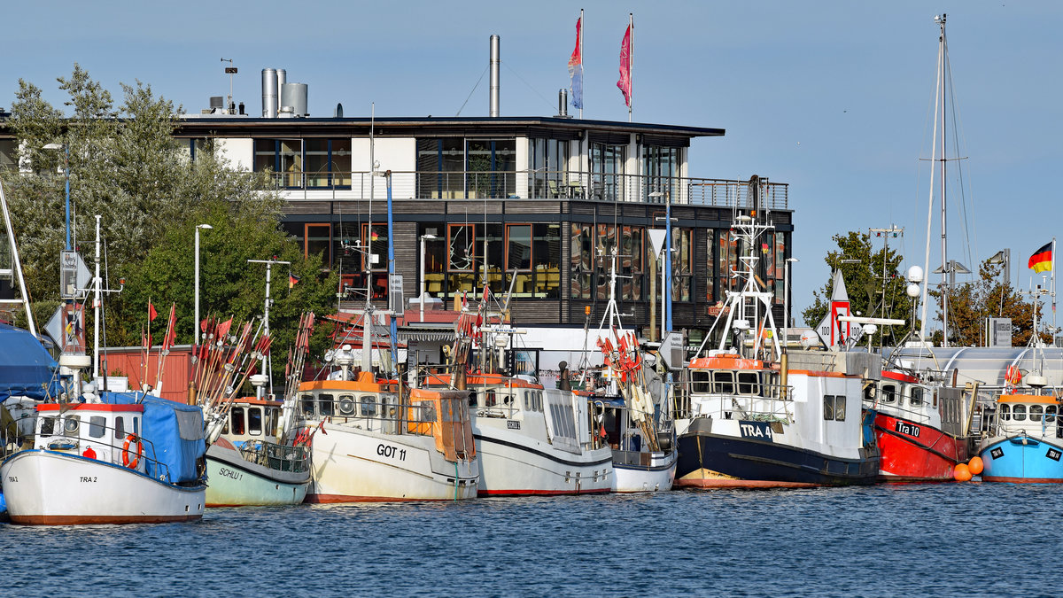 Fischerboote im Fischereihafen Lübeck-Travemünde. Die Fahrzeuge tragen die Kennungen  TRA 2, SCHLU 1, GOT 11, SCHLU 2, Kennung unbekannt, TRA 4, TRA 10 und TRA 14