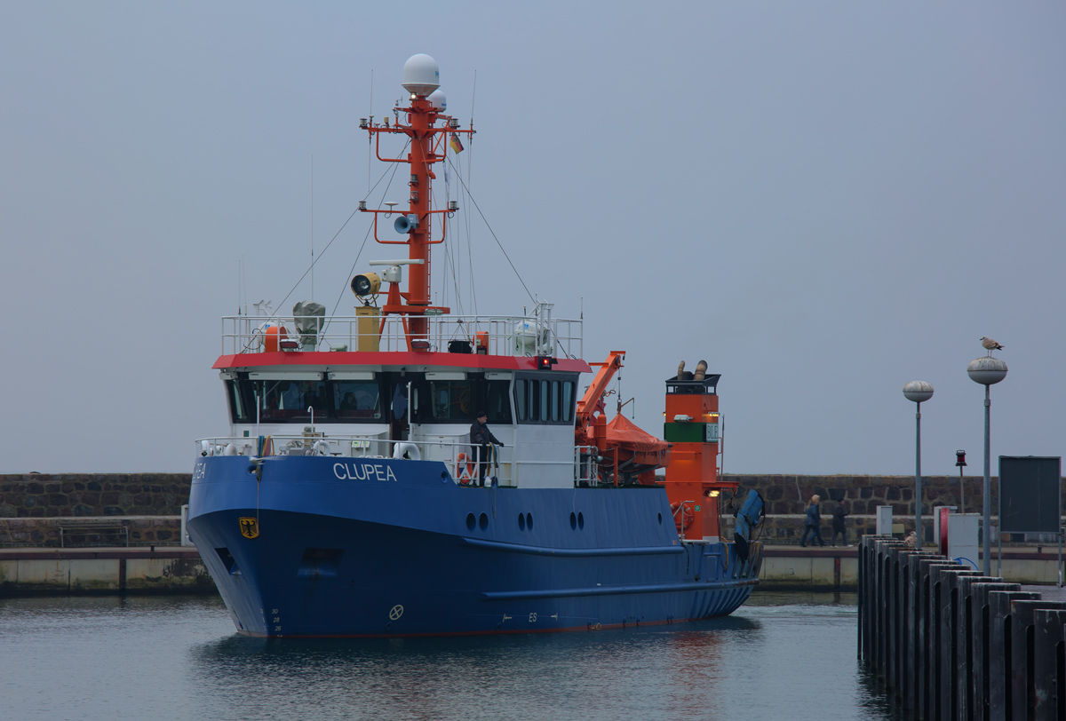 Fischereiforschungsschiff „CLUPEA“ im Hafen von Sassnitz. - 05.11.2015