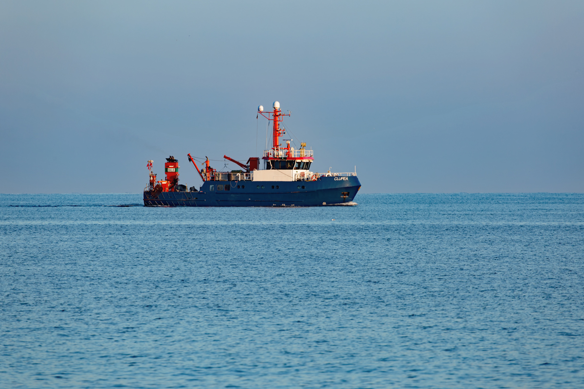 Fischereiforschungsschiff CLUPEA (IMO-Nr. 9573359) auf der Prorer Wiek. - 07.02.2018
