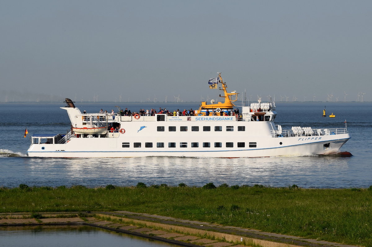 FLIPPER , Fahrgastschiff , IMO 7641190 , Baujahr 1977 , 46.6 × 8m , 17.05.2017  Cuxhaven