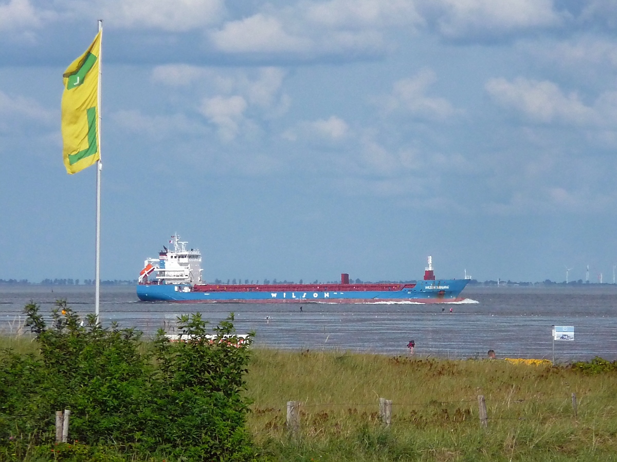 Frachtschiff  Wilson Nanjing  am Duhner Watt bei Cuxhaven, 10.9.2015 