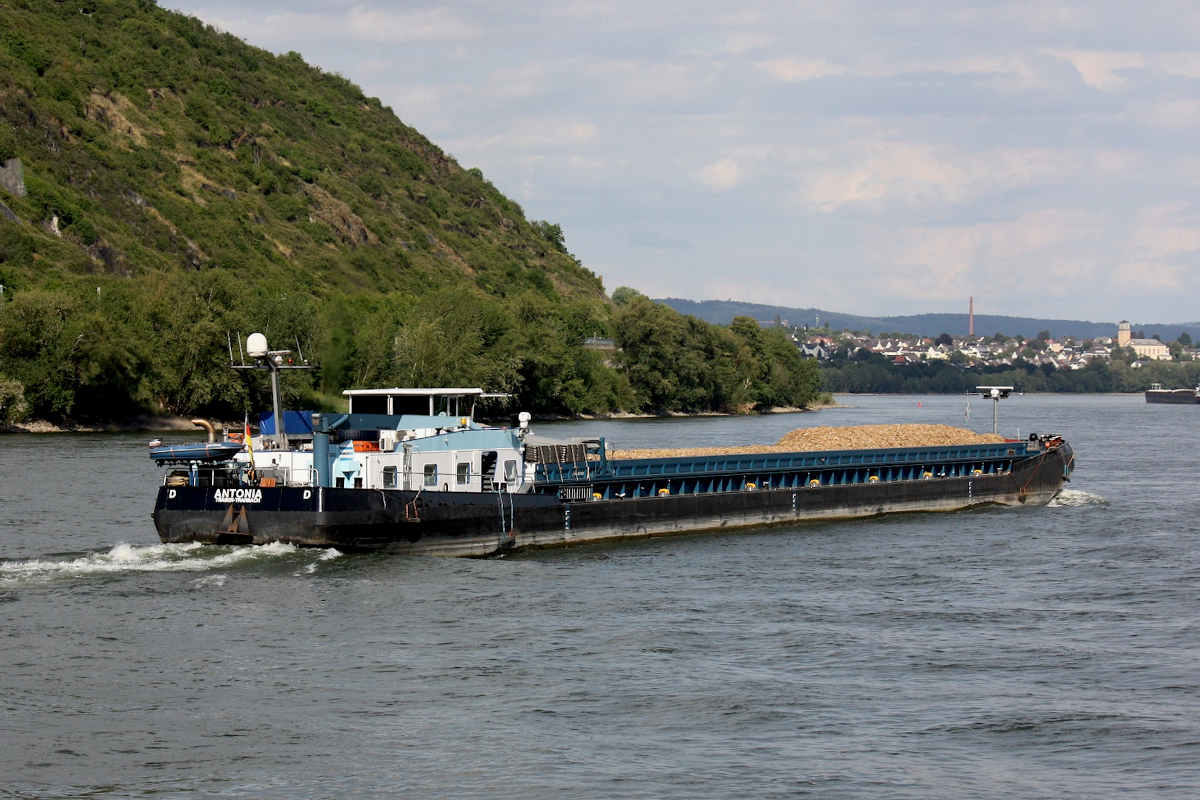 GMS ANTONIA (ENI:04805550) L.100 m B.9 m T.2120 Flagge Deutschland auf dem Rhein zu Berg am 11.06.2022 in Andernach.